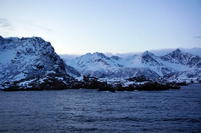 Android StudioをArctic Foxに更新した