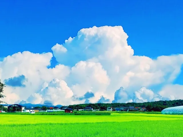 ようやくAndroid StudioにGitHubのTokenを設定した