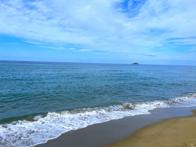 PDFファイルを共有ストレージに保存する方法