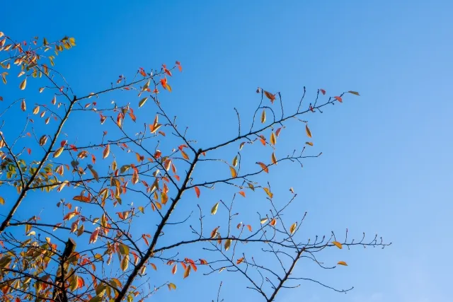 Kotlinでクラス内からだけ変更可能なプロパティを定義する