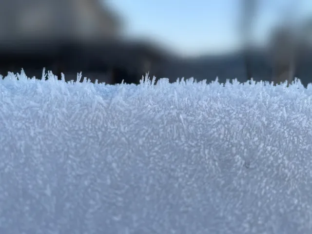 Kotlin plugin 1.6.10への更新失敗、からの手動更新