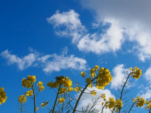 Jetpack ComposeアプリをMaterial Design 3へ移行する